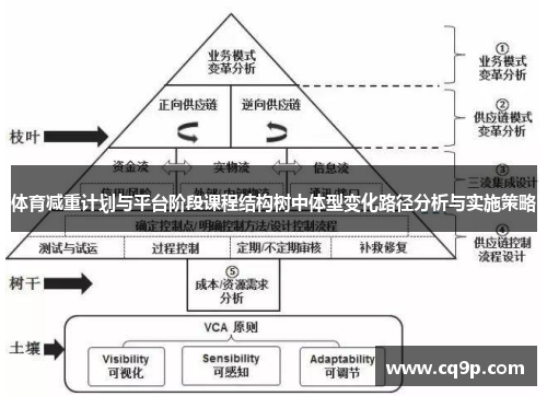 体育减重计划与平台阶段课程结构树中体型变化路径分析与实施策略